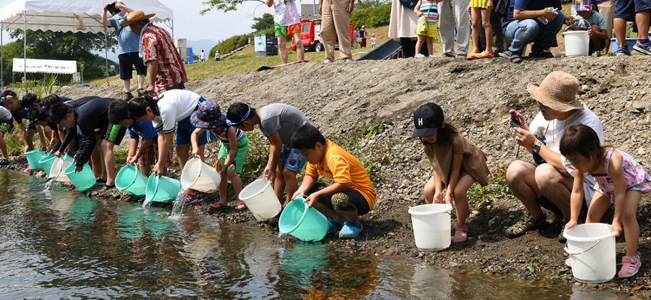 稚魚放流の様子